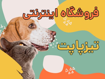 فروشگاه اینترنتی تیزپاپت
