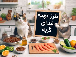 طرز تهیه غذای گربه