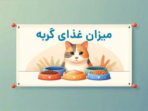 چند بار در روز به گربه غذا بدهیم؟