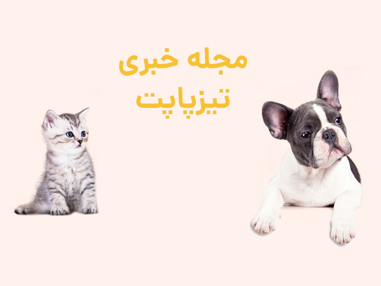 مجله خبری تیزپاپت