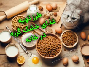 طرز تهیه غذای خشک گربه در خانه