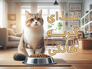 بهترین غذا برای گربه خانگی